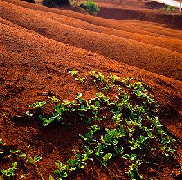 Xbox Series更便宜的1TB扩展卡即将到来